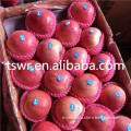/msite/products/detail/productid/59942660/id/542998.html